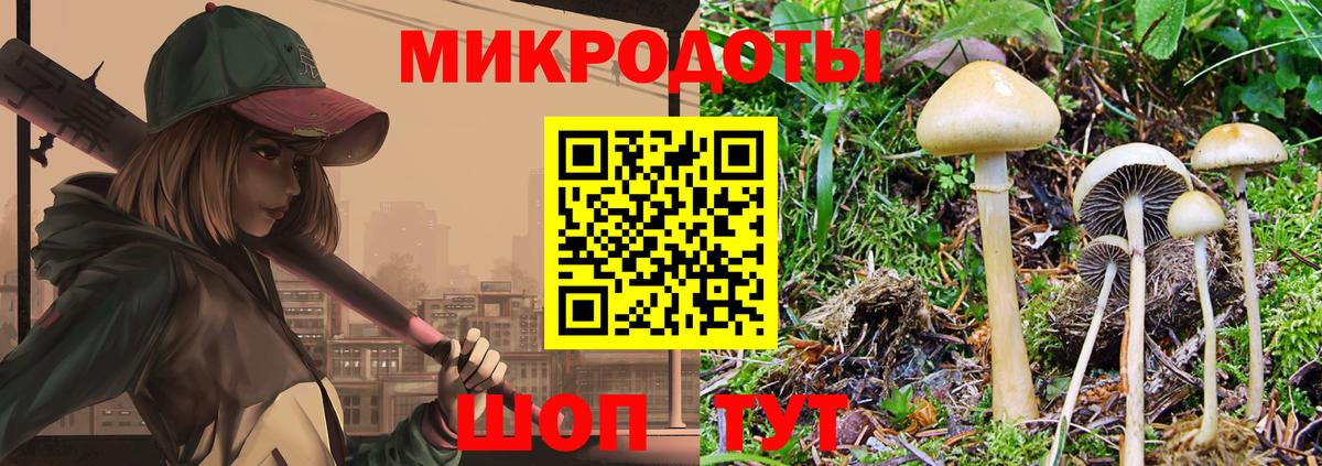 Галлюциногенные грибы прущие грибы Фрязино
